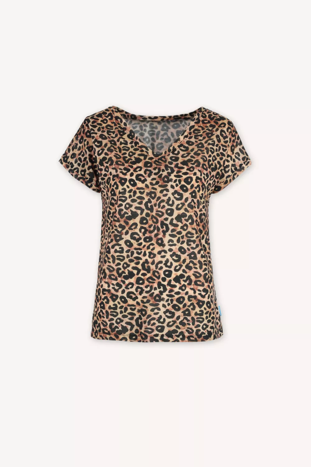 c8805aba7a2ba6b786924bb7511f2064