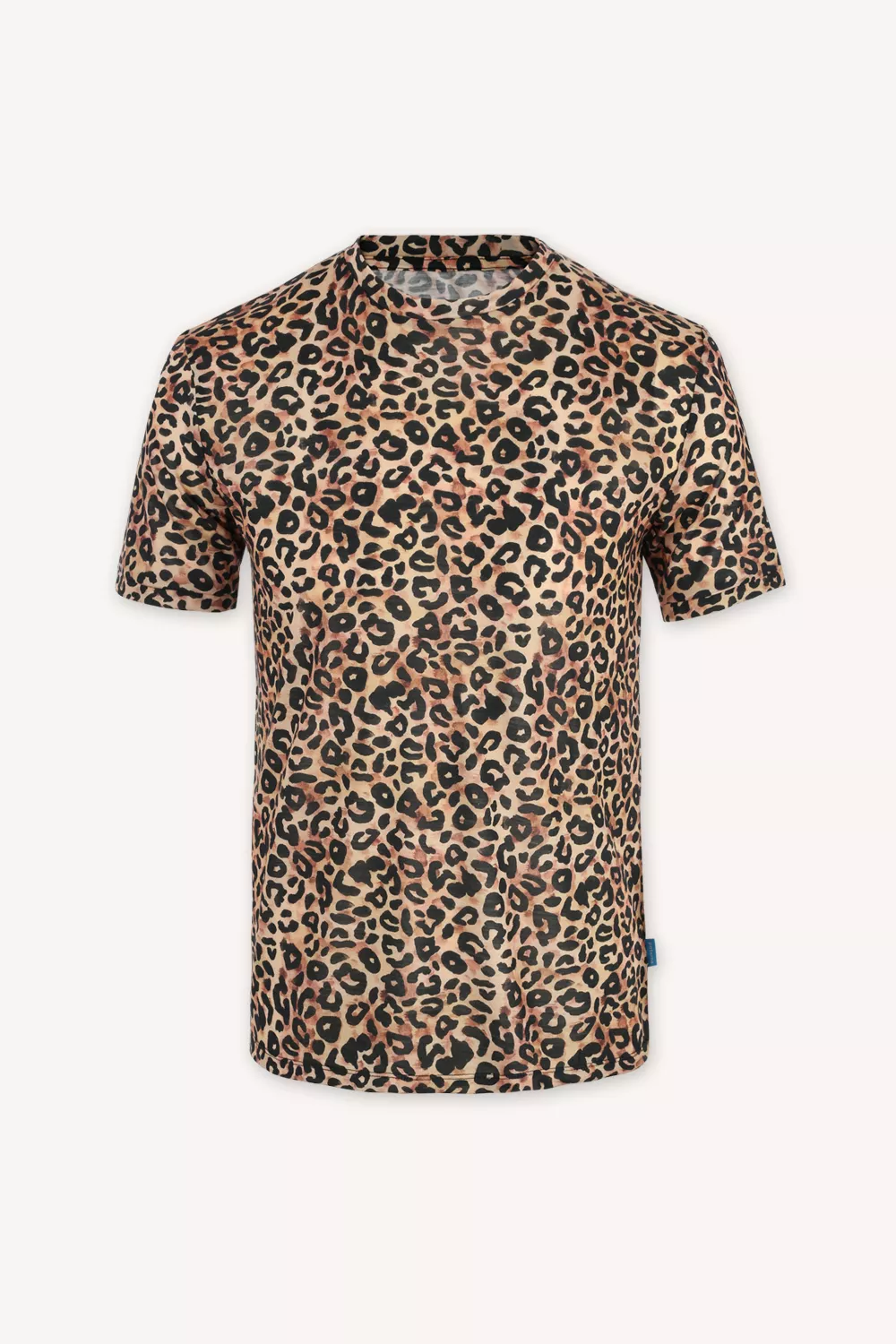 0f4ea305c5f187fb44272df95cfb6804