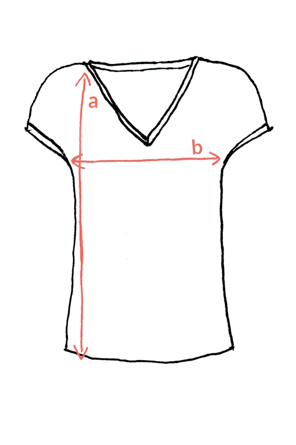 Rozměry trička: ilustrace